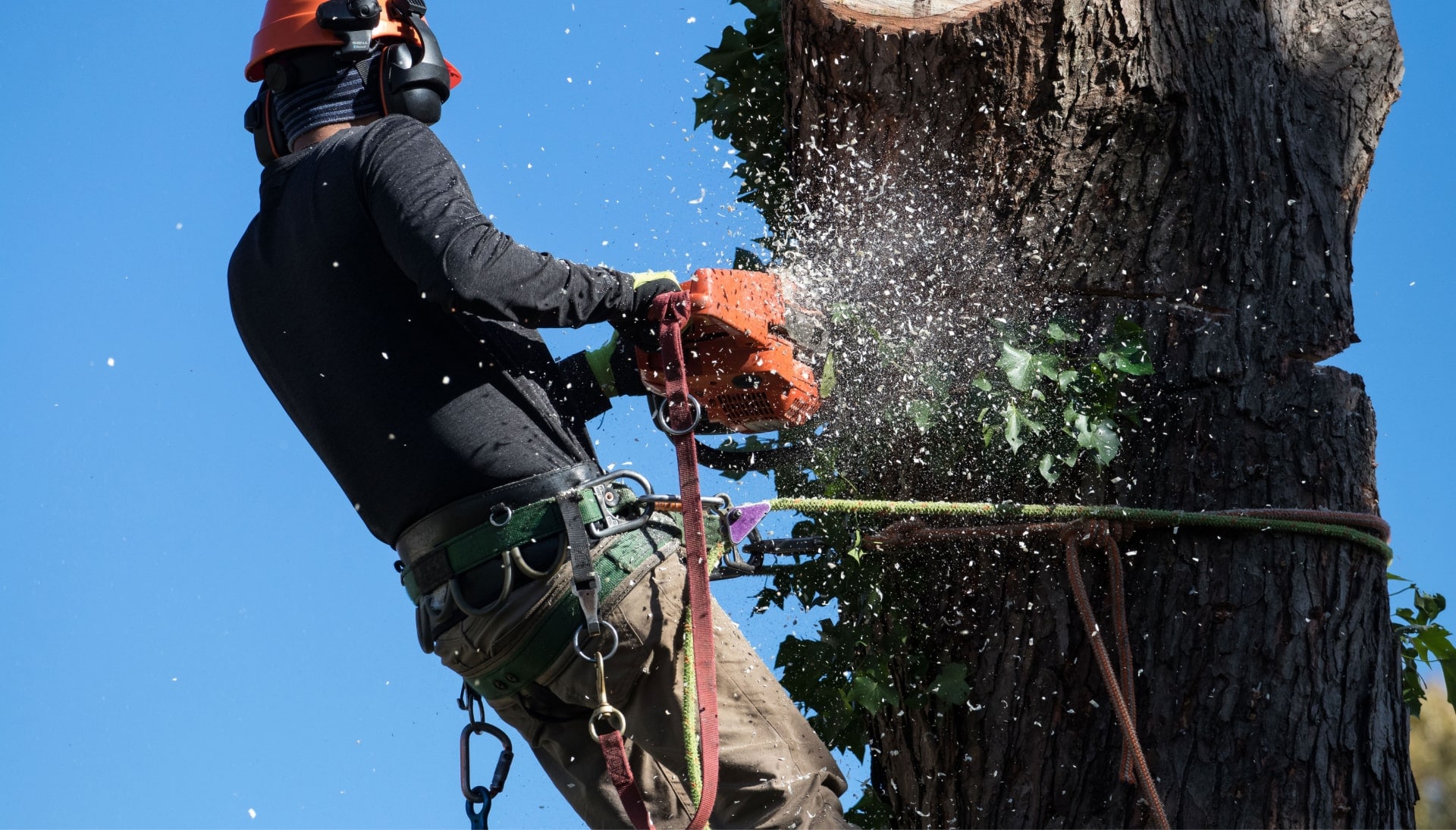 tree service fort myers fl